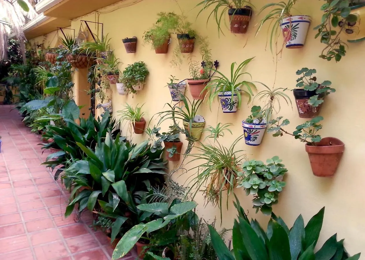 Apartamento Casa Esperanza Málaga